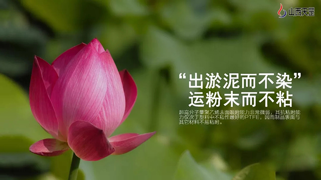 大香蕉视频网站不一样